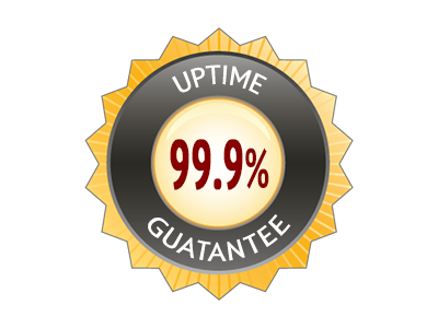 99.9% Server Uptime Guarantee